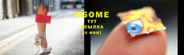 гашик Алексин