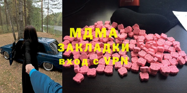 гашик Алексин