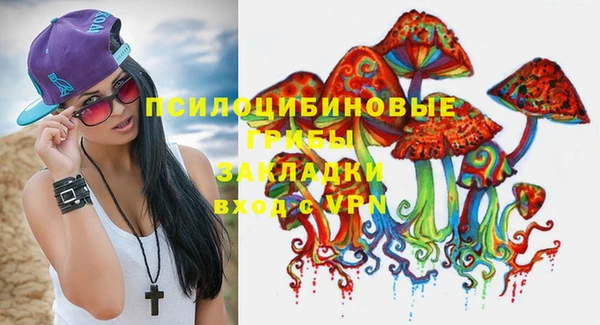 гашик Алексин