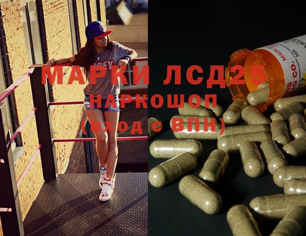 гашик Алексин
