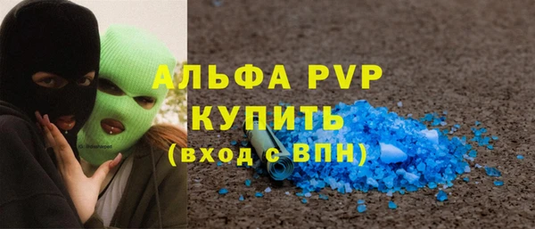 гашик Алексин